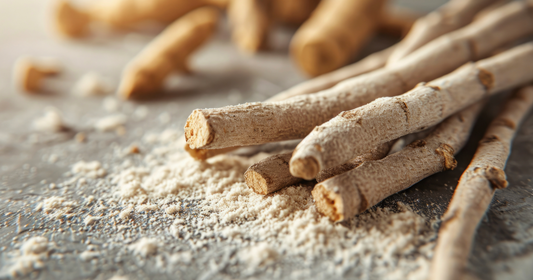 Ashwagandha: The Ultimate Nootropic for Mind and Body Performance